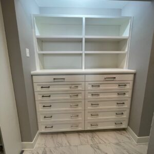 Books-dresser-builtins (1)